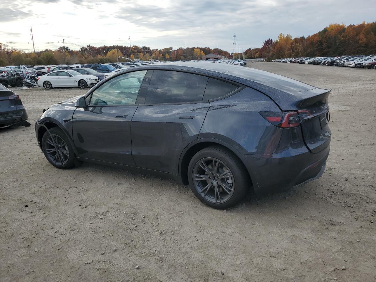 VIN 7SAYGDEE5RA323291 2024 TESLA MODEL Y no.2