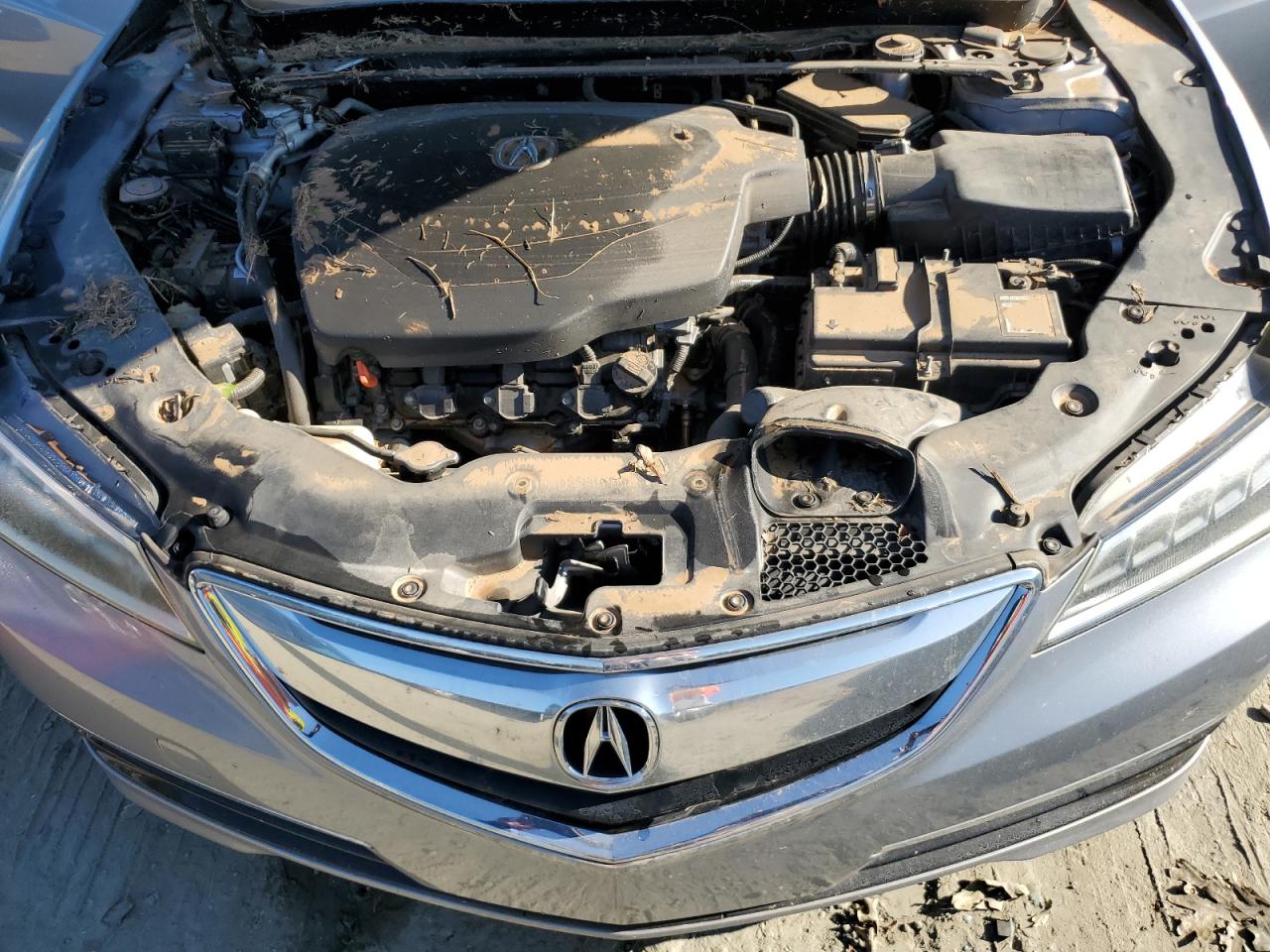 19UUB2F51FA006923 2015 Acura Tlx Tech