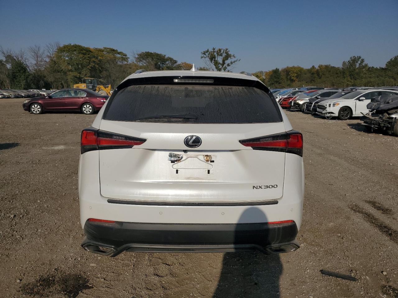 2019 Lexus Nx 300 Base VIN: JTJBARBZXK2182705 Lot: 74766604