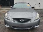 2014 Infiniti Q60 Journey na sprzedaż w Jacksonville, FL - Water/Flood
