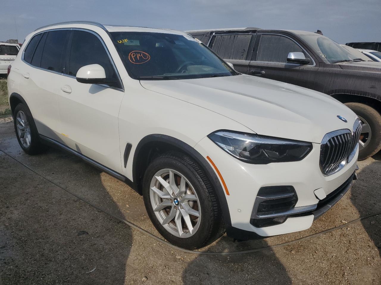 2023 BMW X5 xDrive40I VIN: 5UXCR6C03P9N52856 Lot: 74737864