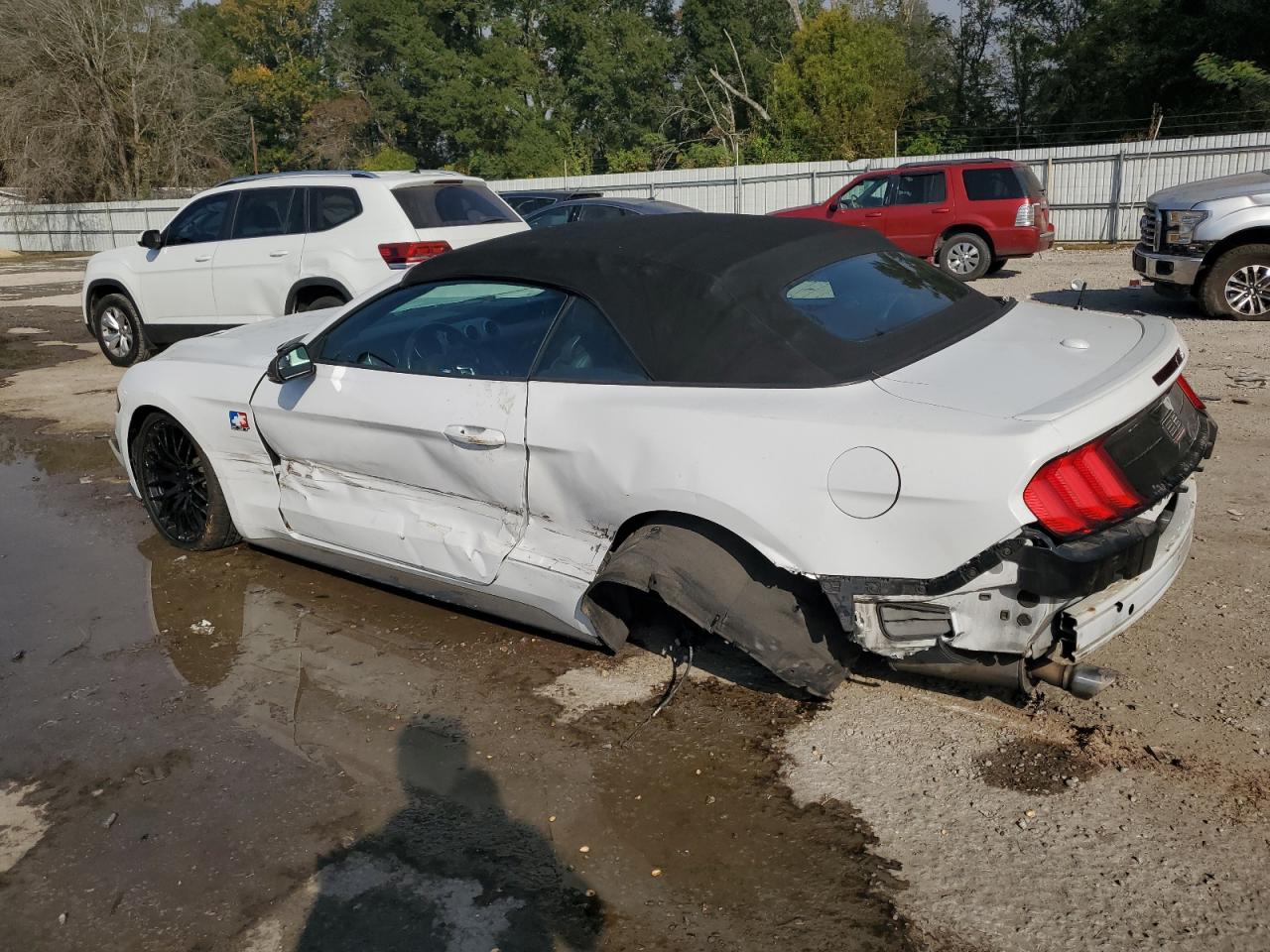 2019 Ford Mustang - Image 2