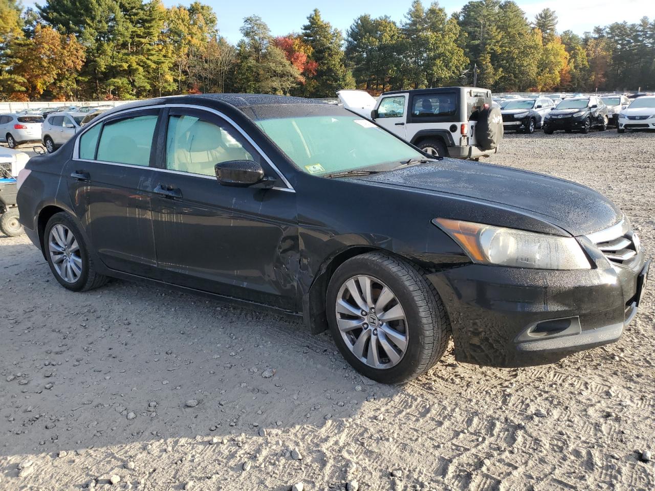 2011 Honda Accord Exl VIN: 1HGCP2F89BA059676 Lot: 76342324