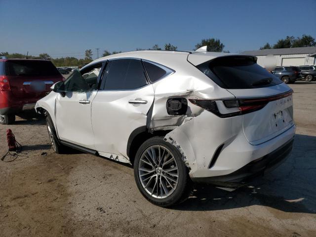  LEXUS NX 350 2022 Белы