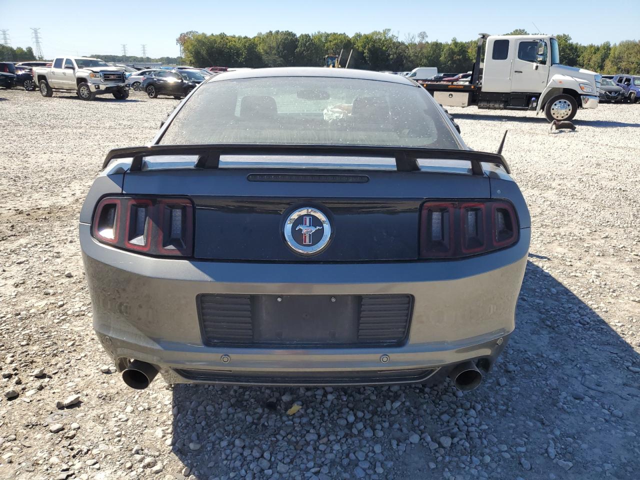 1ZVBP8AM4D5281231 2013 Ford Mustang