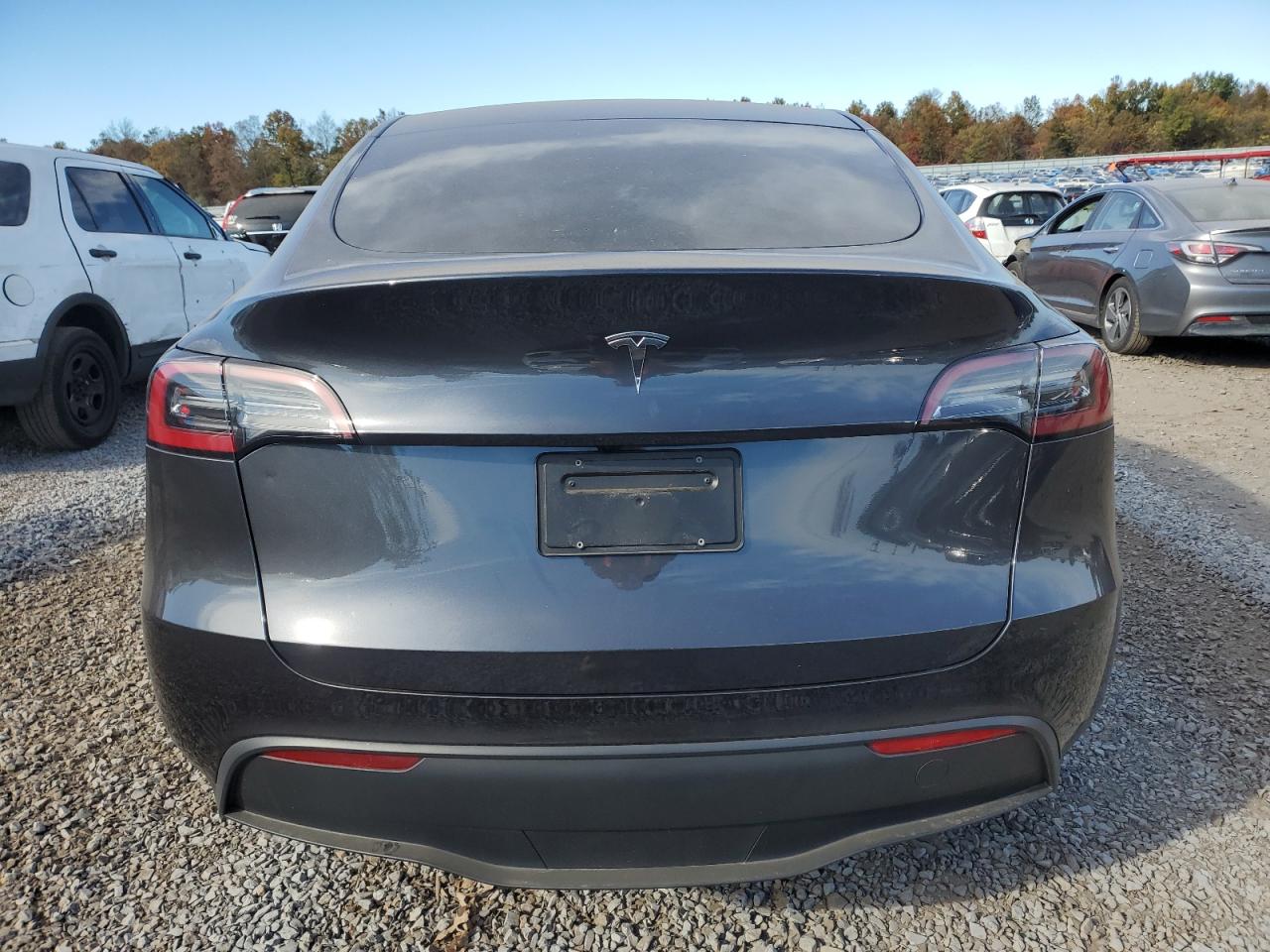 2024 Tesla Model Y VIN: 7SAYGDED6RF004718 Lot: 75652414