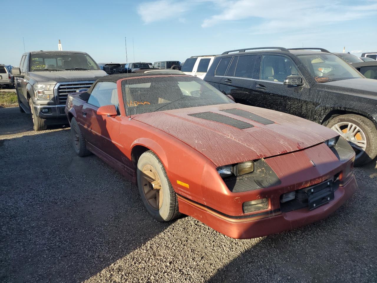 1988 Chevrolet Camaro VIN: 1G1FP31E6JL190669 Lot: 75381994