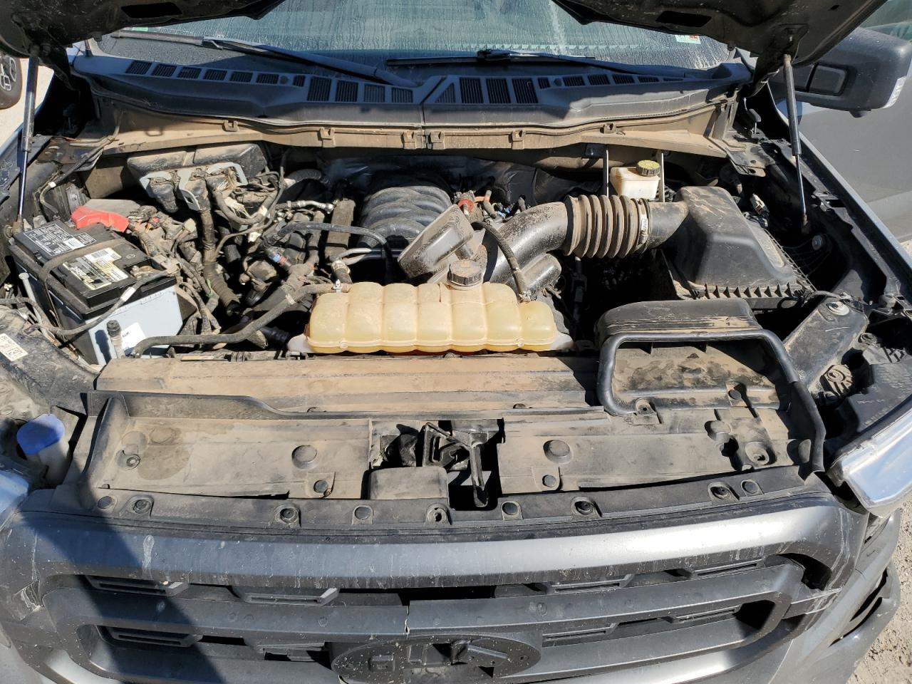 2021 Ford F150 Supercrew VIN: 1FTFW1E54MFA45903 Lot: 75682424