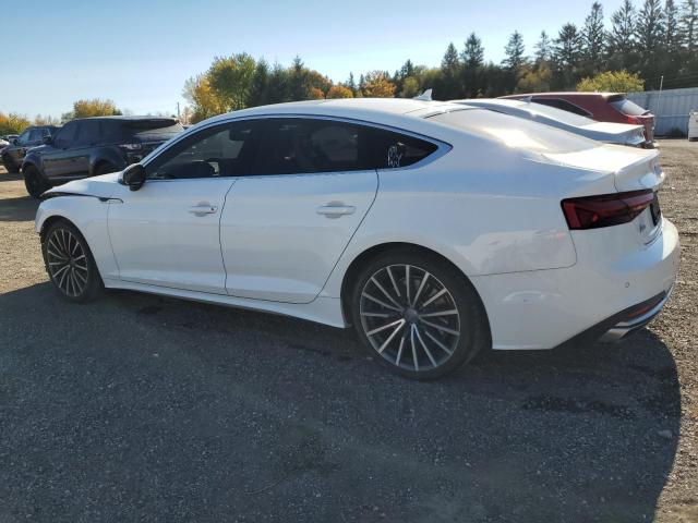  AUDI A5 2020 Белы