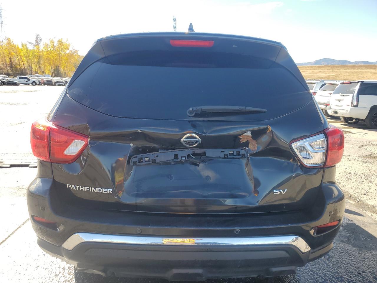 2020 Nissan Pathfinder Sv VIN: 5N1DR2BN1LC604974 Lot: 77449434