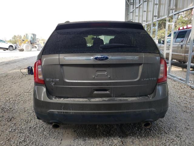  FORD EDGE 2013 Колір засмаги