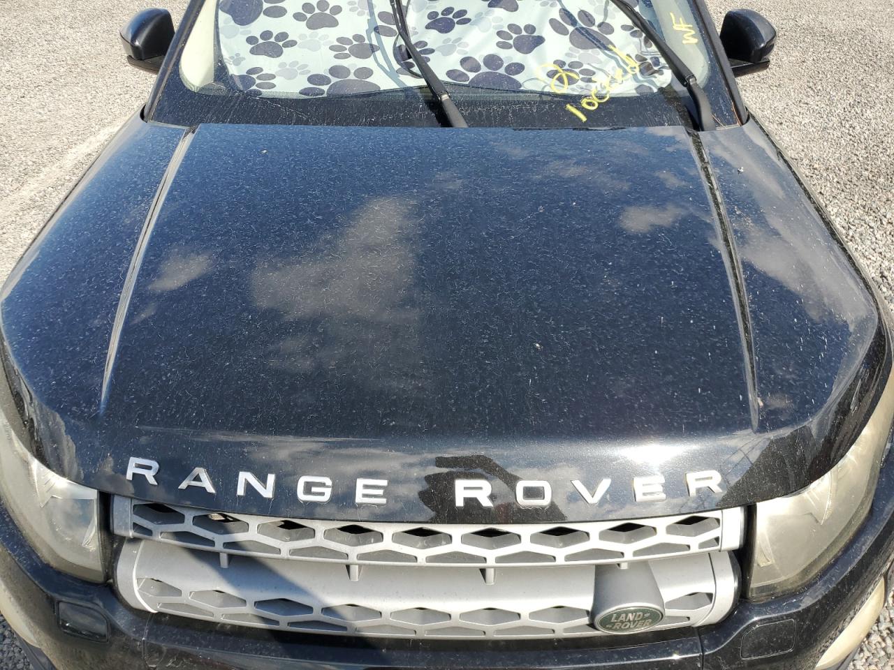 2014 Land Rover Range Rover Evoque Pure Plus VIN: SALVP2BG7EH903609 Lot: 73913224