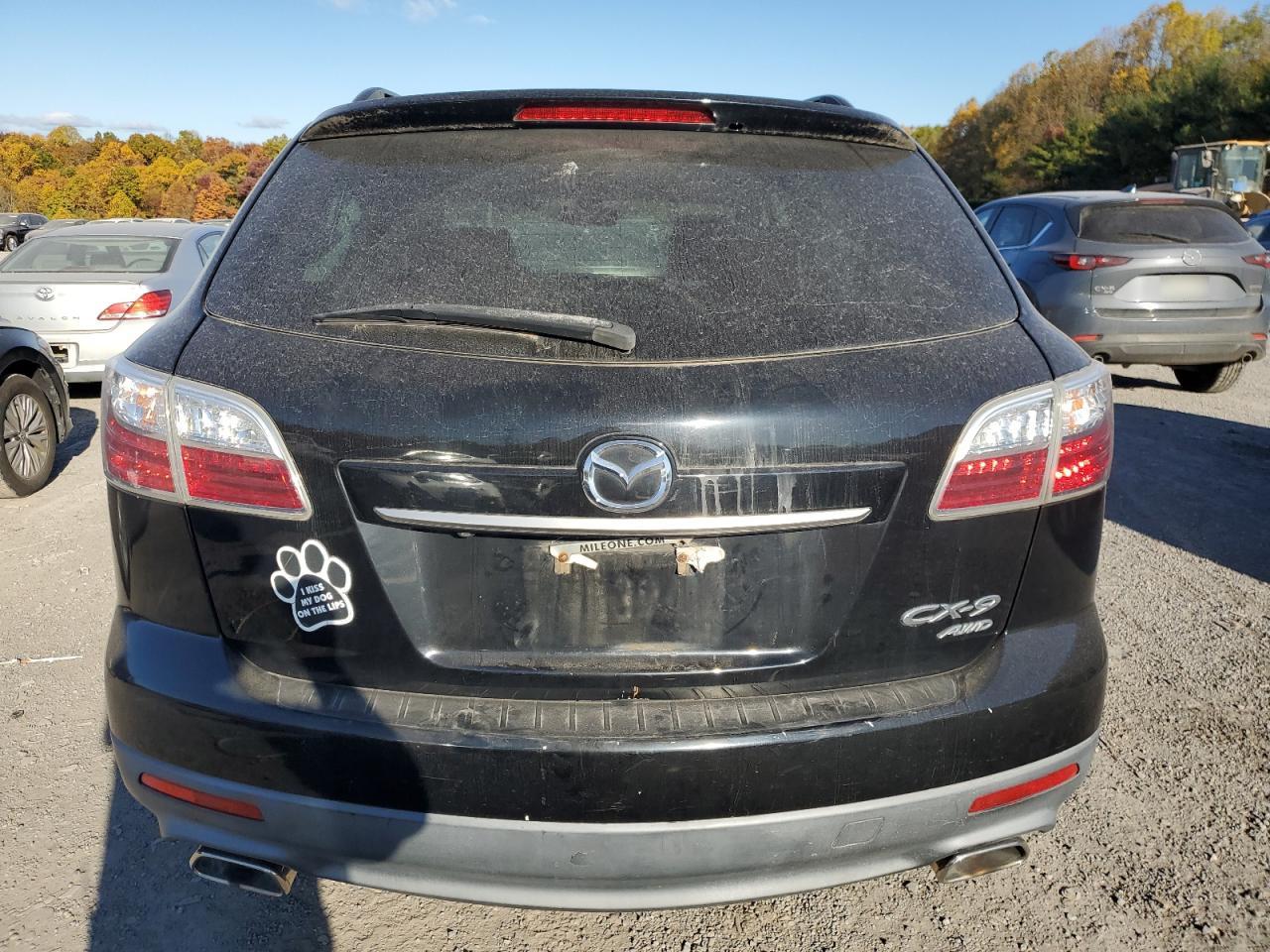 2010 Mazda Cx-9 VIN: JM3TB3MV8A0234989 Lot: 77464054