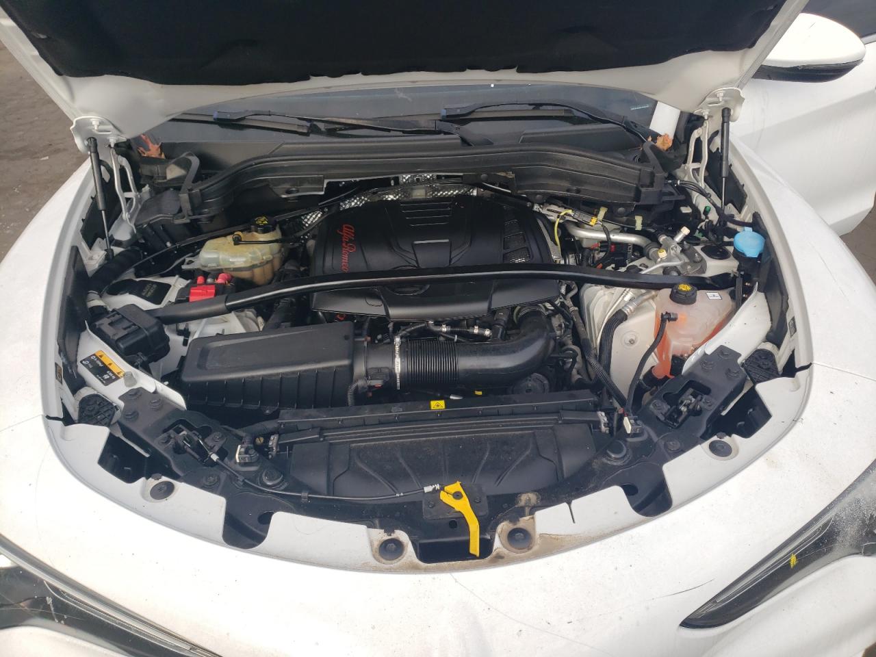 2020 Alfa Romeo Stelvio VIN: ZASPAKAN4L7C91011 Lot: 53800315