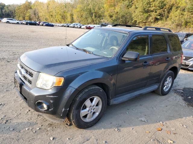 2009 Ford Escape Xlt