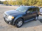 2009 Ford Escape Xlt للبيع في Marlboro، NY - Minor Dent/Scratches