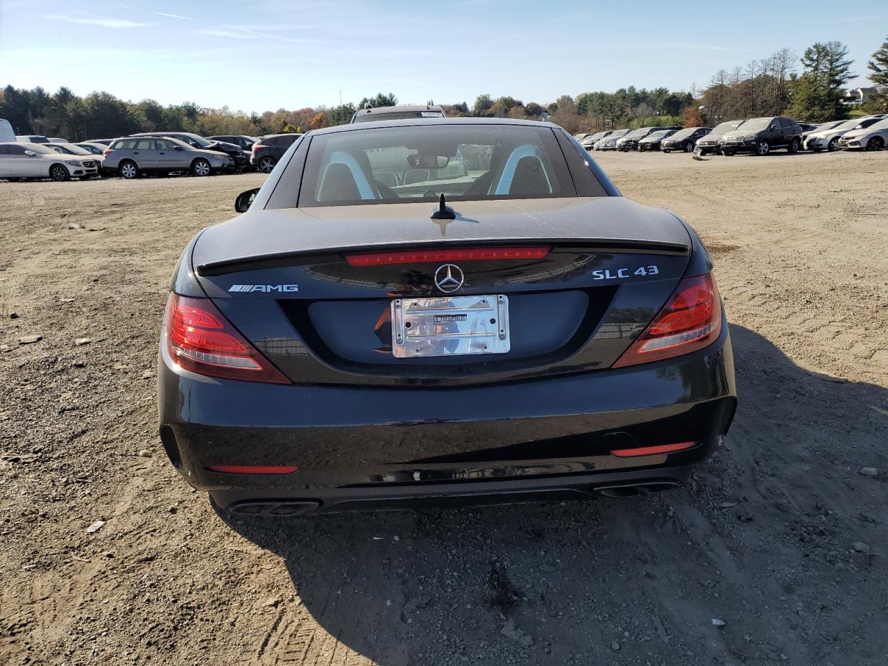 2018 Mercedes-Benz Slc 43 Amg VIN: WDDPK6GA1JF150391 Lot: 76665964