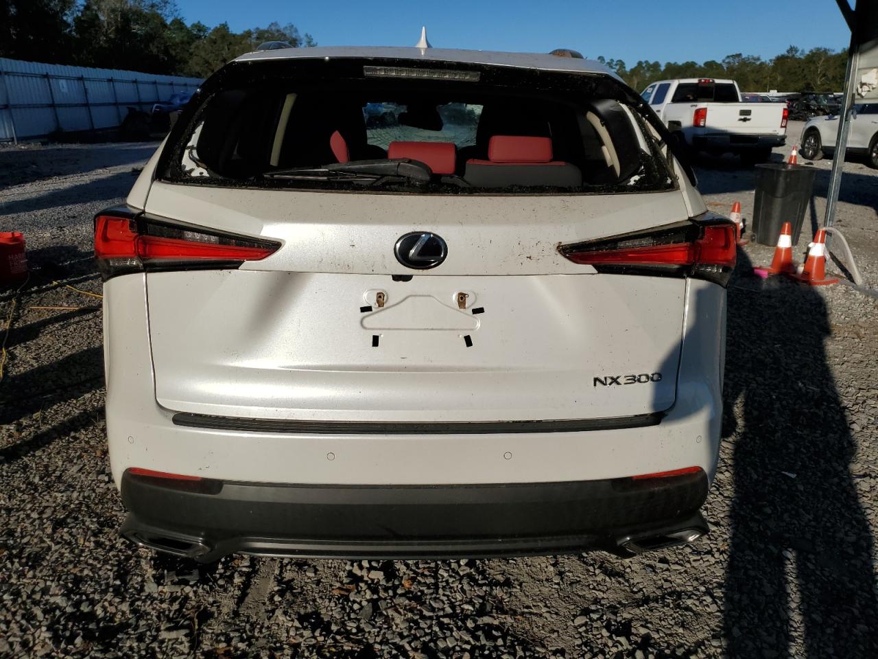 2019 Lexus Nx 300 Base VIN: JTJYARBZ2K2156187 Lot: 75741154