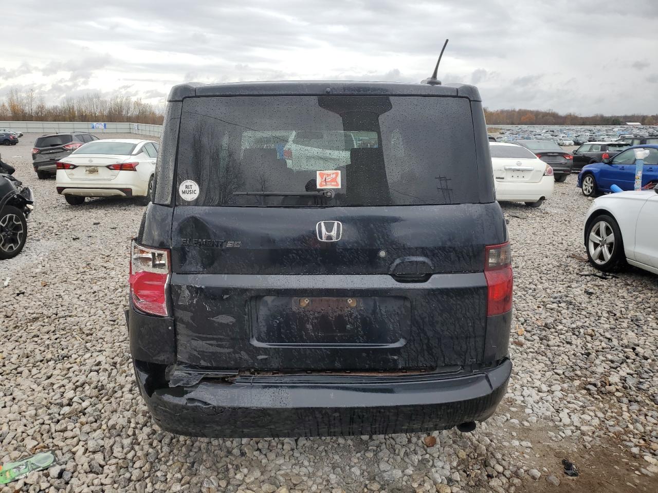 2007 Honda Element Sc VIN: 5J6YH17997L005173 Lot: 77971874