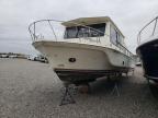1977 Blue Boat for Sale in Avon, MN - Top/Roof