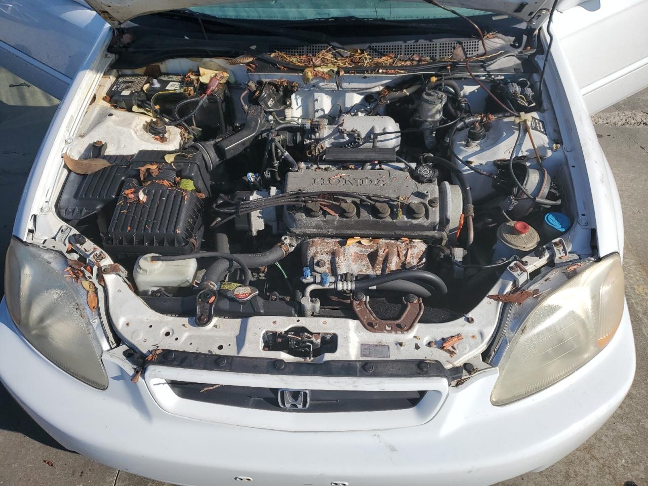 1HGEJ8241VL128403 1997 Honda Civic Ex