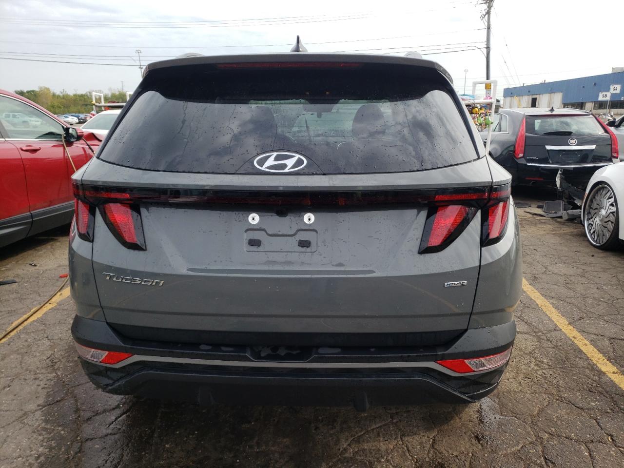 2024 Hyundai Tucson Sel VIN: 5NMJBCDE5RH366829 Lot: 74477954