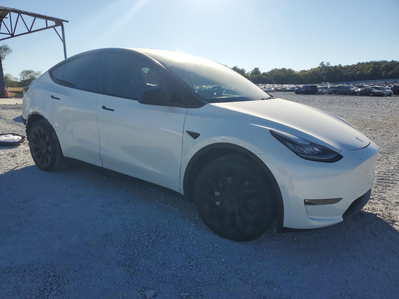 2021 Tesla Model Y VIN: 5YJYGDEE3MF193889 Lot: 75301454