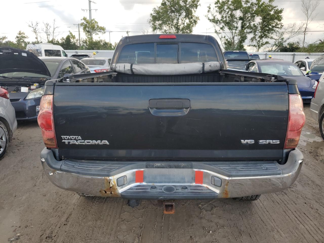 5TEUU42N56Z197729 2006 Toyota Tacoma Access Cab