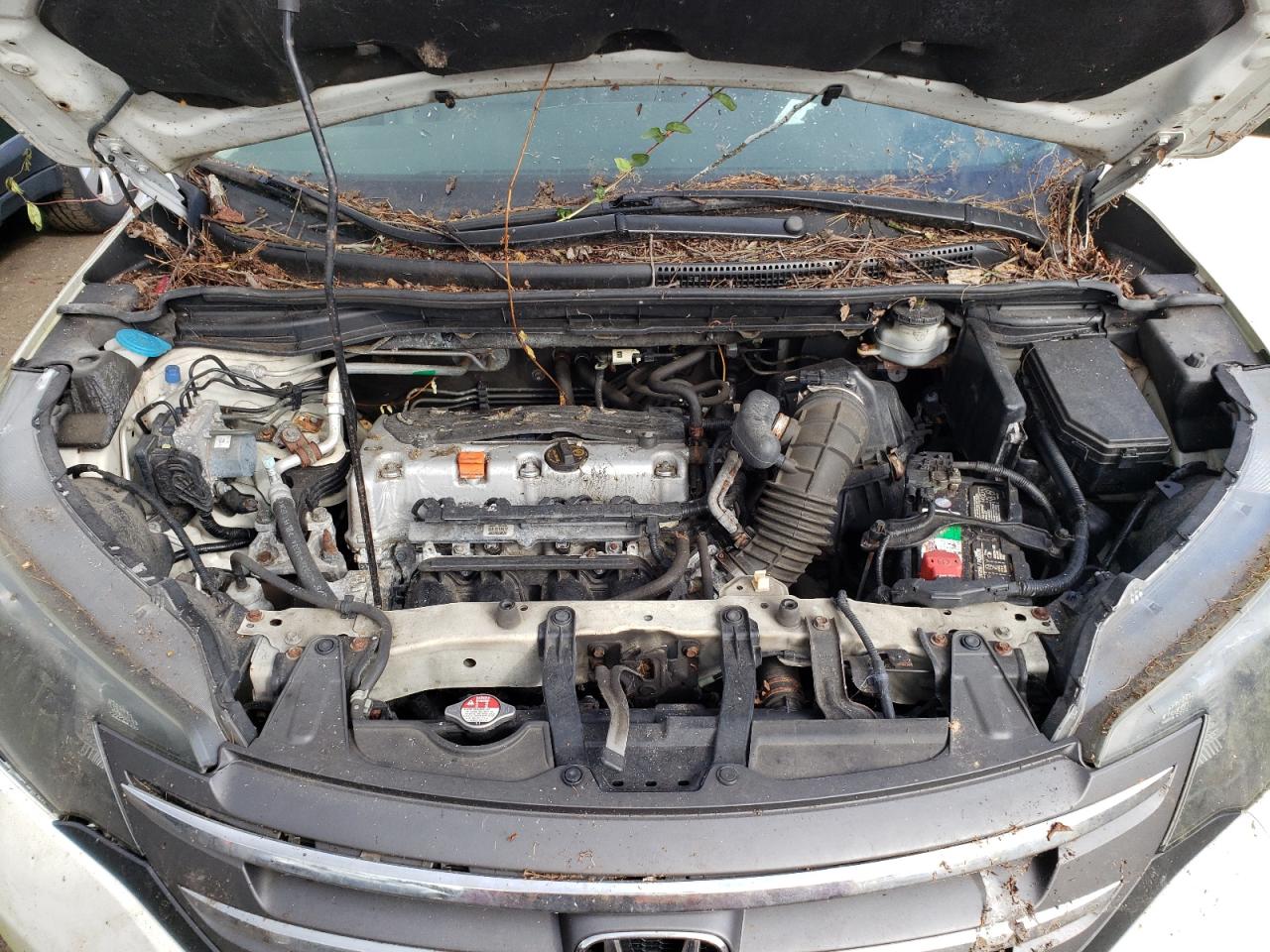 2013 Honda CR-V - Image 12