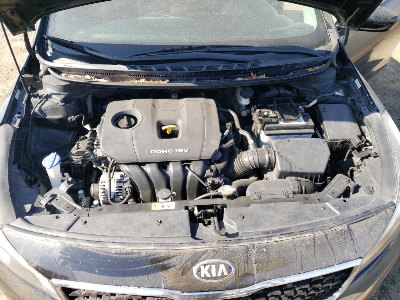 3KPFK4A76HE141908 2017 Kia Forte Lx