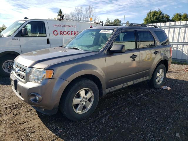 2012 Ford Escape Xlt للبيع في Bowmanville، ON - Minor Dent/Scratches