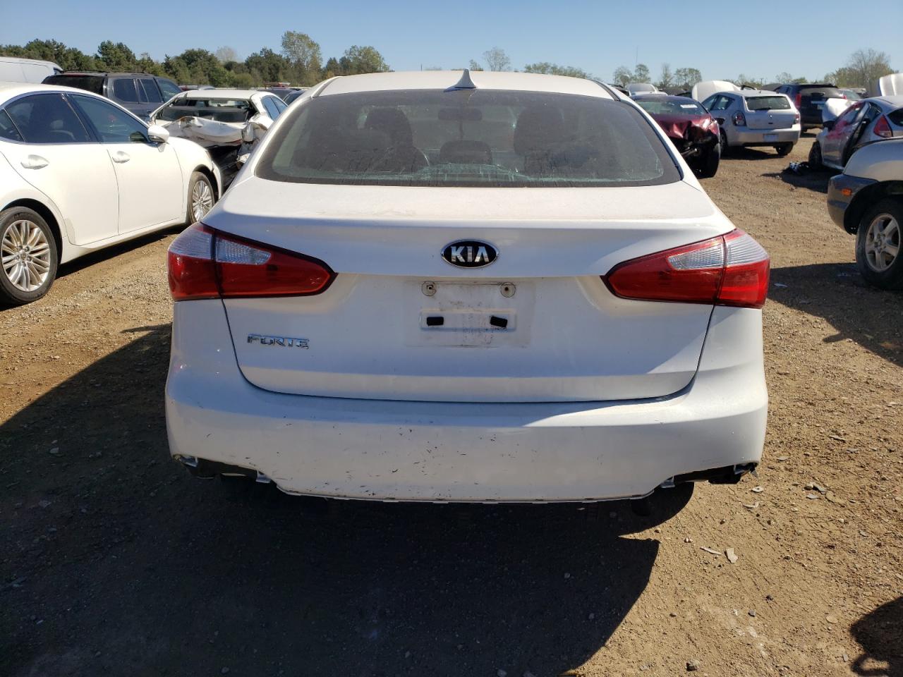 2014 Kia Forte Lx VIN: KNAFX4A63E5219090 Lot: 73673234