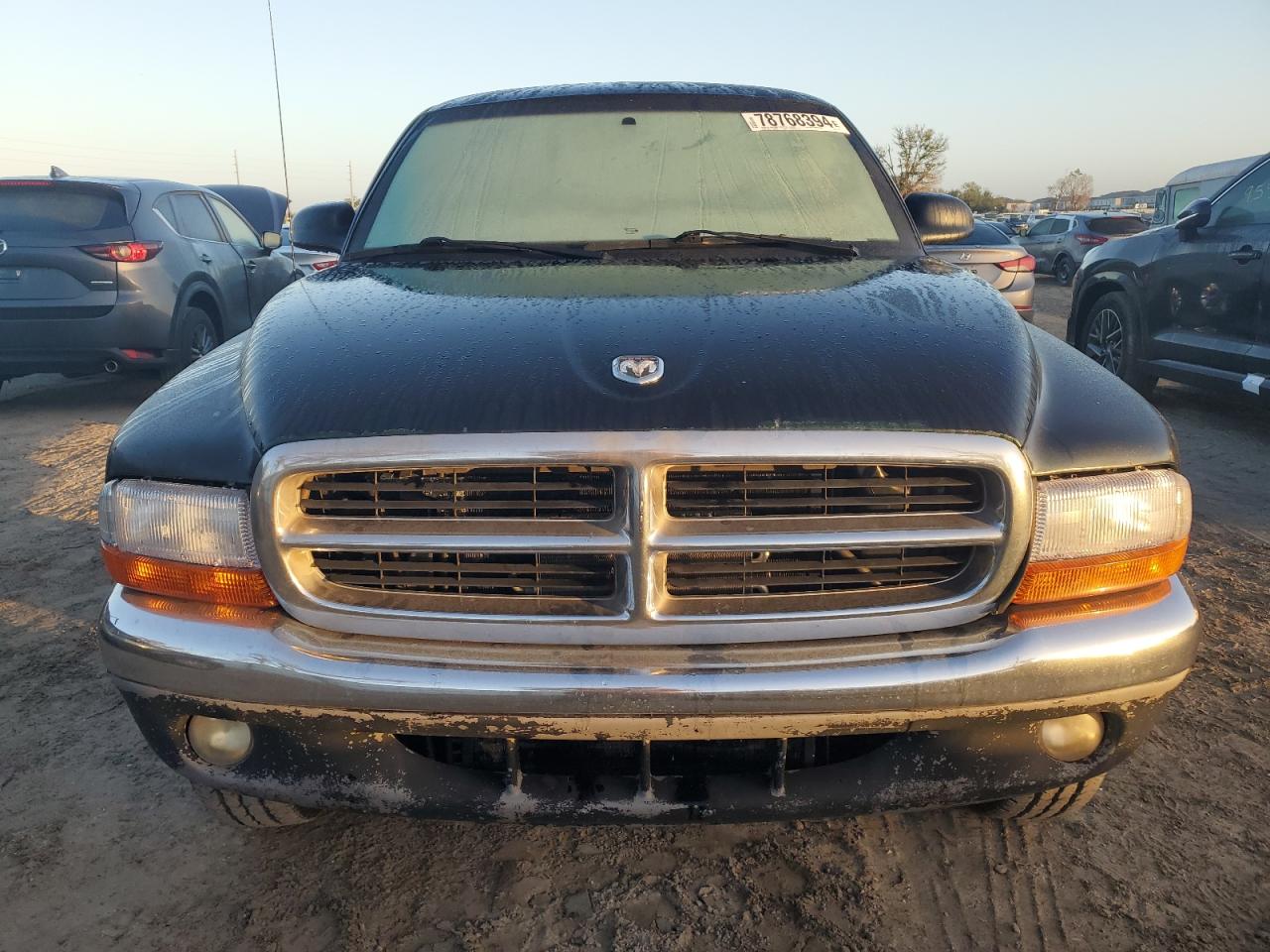 1998 Dodge Dakota VIN: 1B7GG22X6WS619151 Lot: 78768394