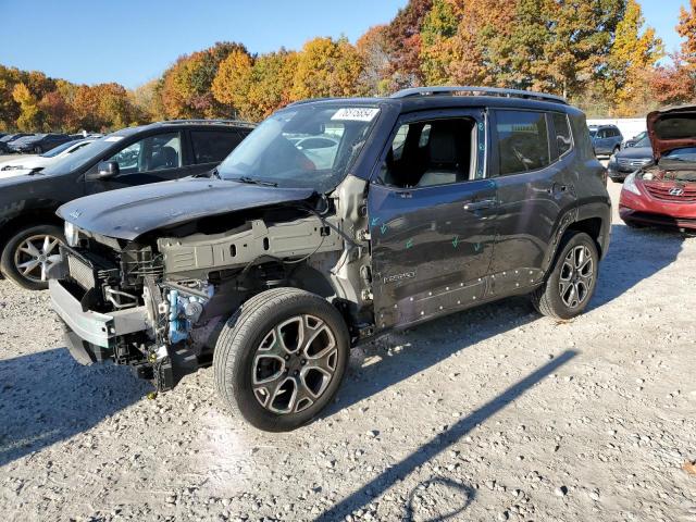  JEEP RENEGADE 2016 Серый