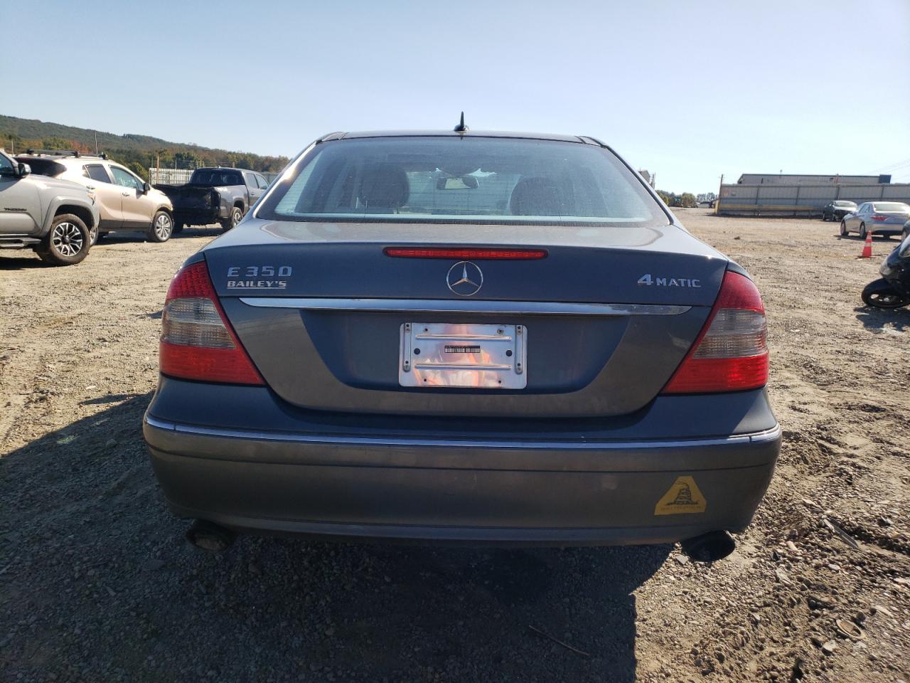 2007 Mercedes-Benz E 350 4Matic VIN: WDBUF87X67B163153 Lot: 76239734