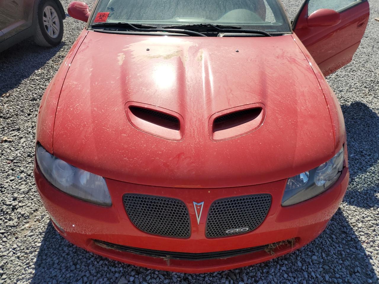 2006 Pontiac Gto VIN: 6G2VX12U66L557212 Lot: 77996784