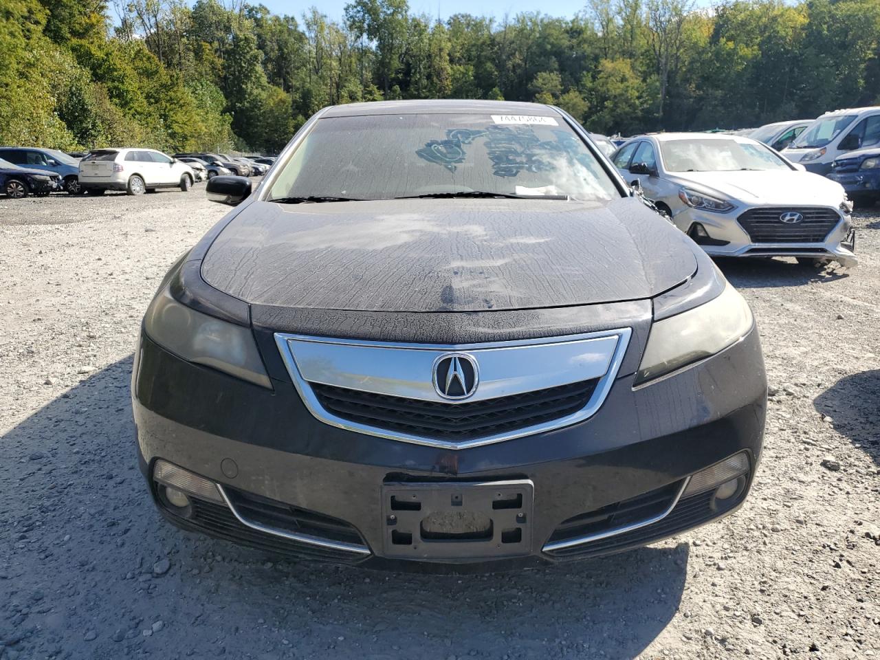 19UUA8F28DA007382 2013 Acura Tl