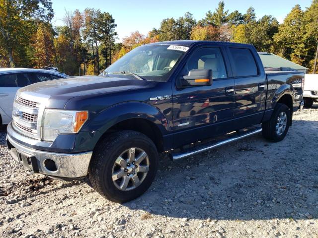  FORD F-150 2014 Granatowy