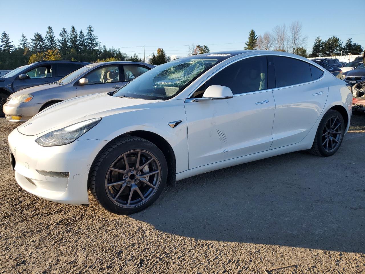 5YJ3E1EA9LF625475 2020 TESLA MODEL 3 - Image 1