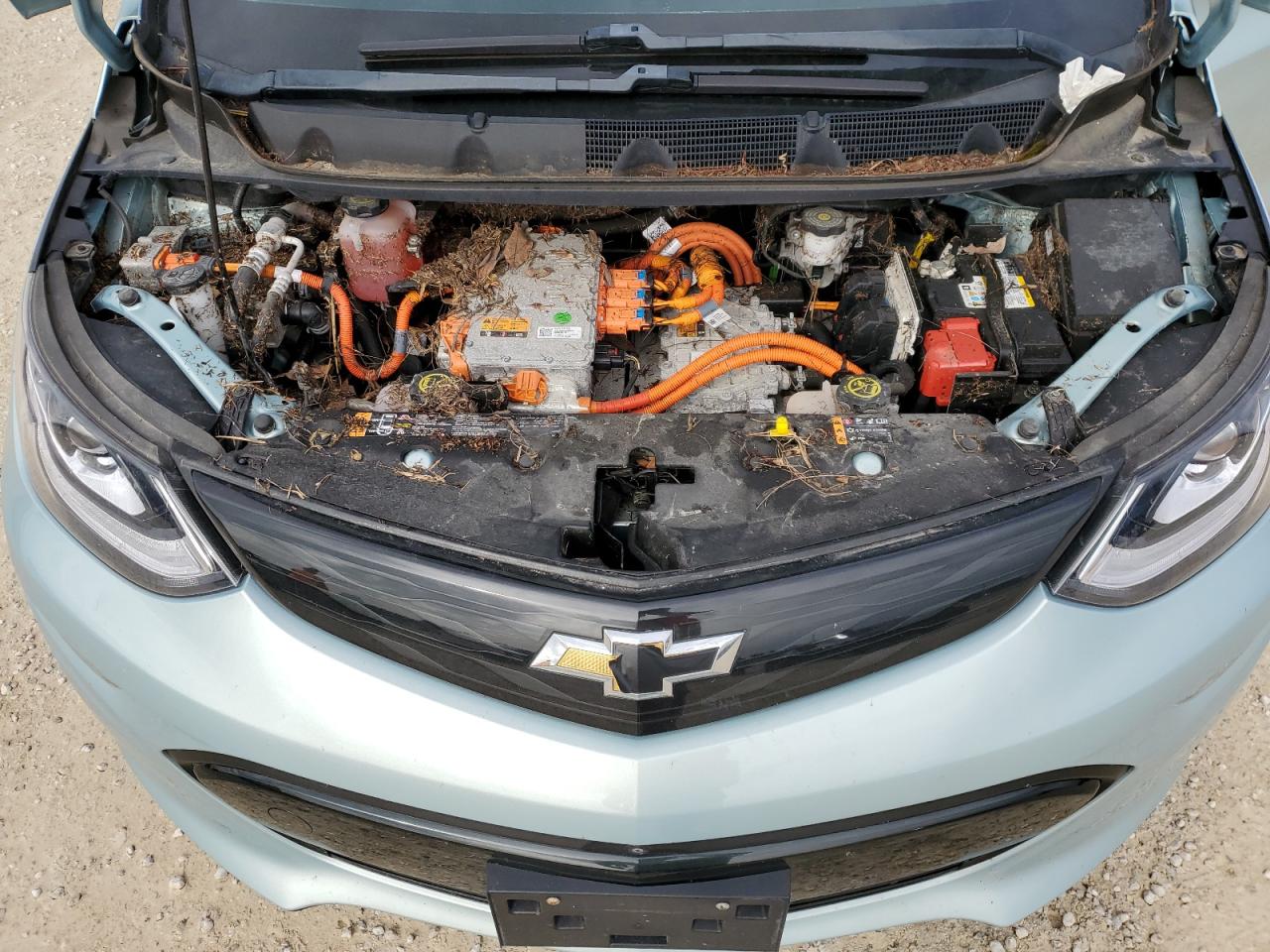 1G1FZ6S02K4135646 2019 Chevrolet Bolt Ev Premier