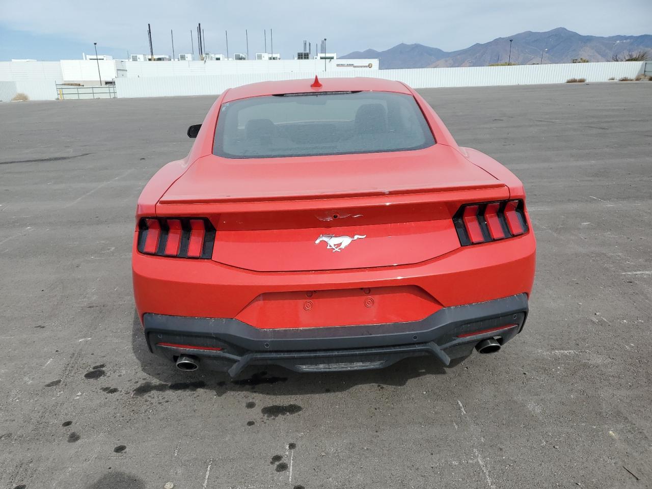 2024 Ford Mustang VIN: 1FA6P8TH1R5126038 Lot: 75750064