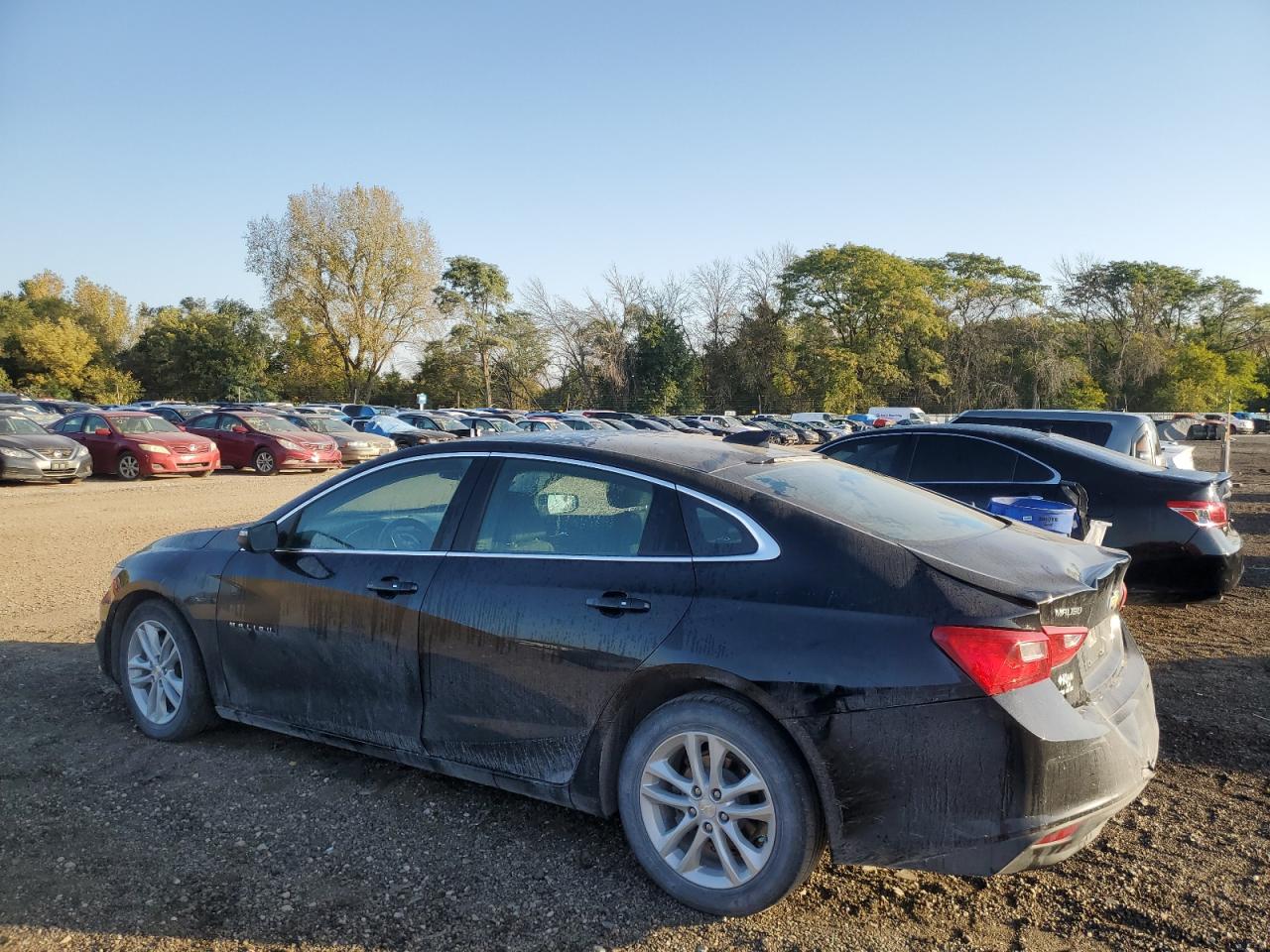 1G1ZE5ST2GF359914 2016 CHEVROLET MALIBU - Image 2