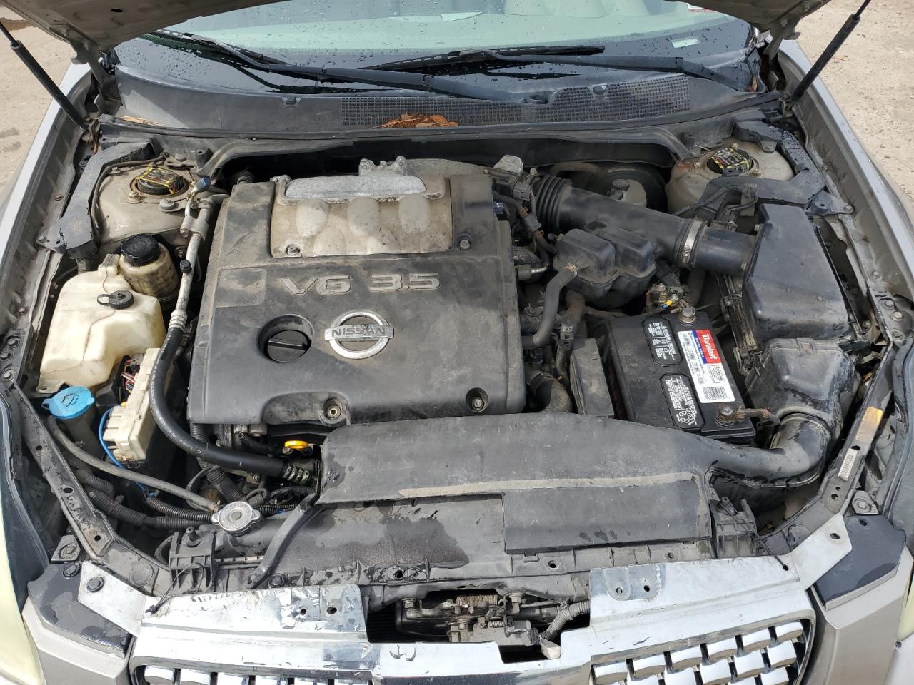 1N4BA41E34C888731 2004 Nissan Maxima Se