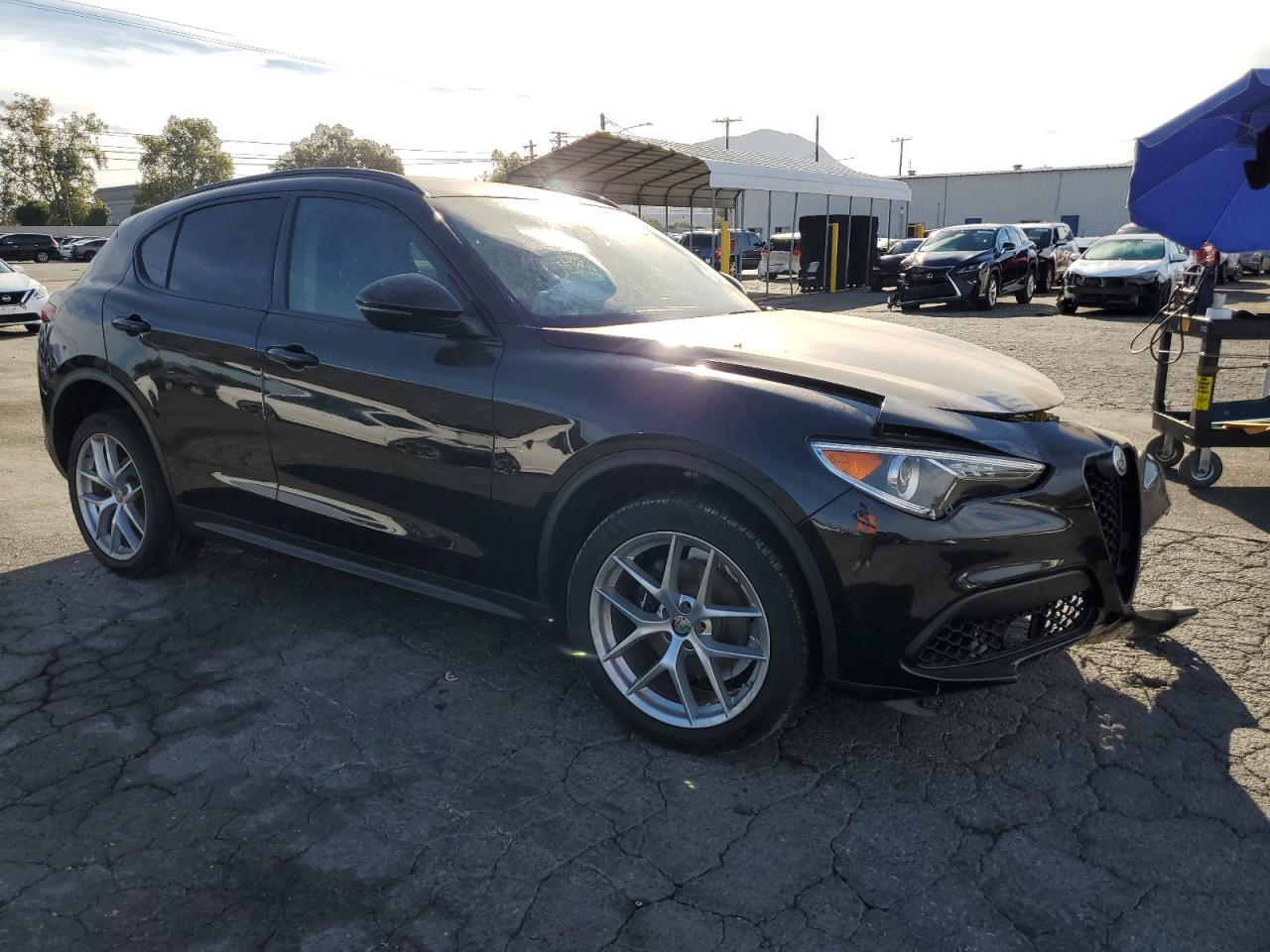 VIN ZASPAJAN8K7C39339 2019 ALFA ROMEO STELVIO no.4