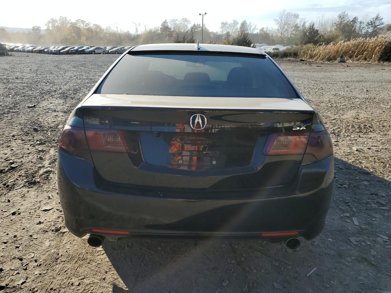 2013 Acura Tsx Tech VIN: JH4CU2F62DC009973 Lot: 77870604