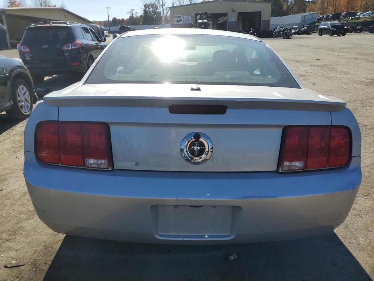 2008 Ford Mustang VIN: 1ZVHT80N085142168 Lot: 77477914