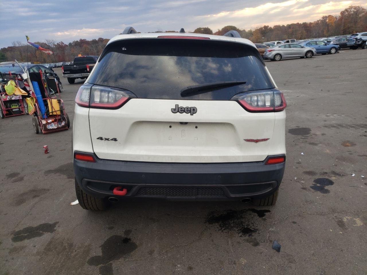 2019 Jeep Cherokee Trailhawk VIN: 1C4PJMBX8KD216865 Lot: 77743224