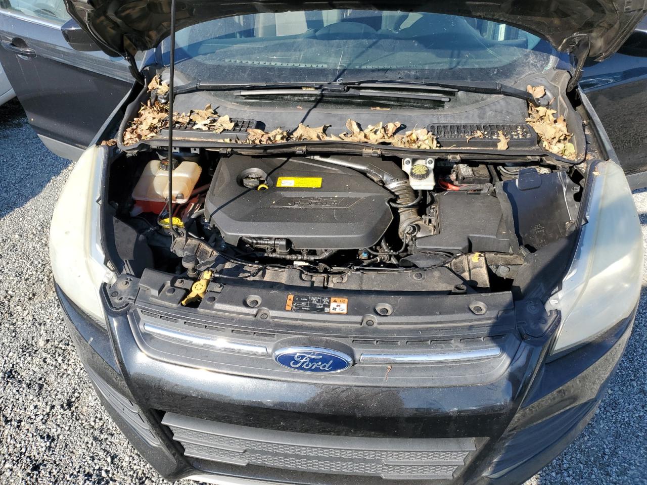 2015 Ford Escape - Image 14