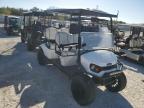 2022 ASPT GOLF CART for sale at Copart FL - PUNTA GORDA SOUTH