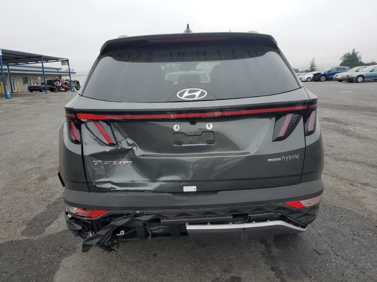 2024 Hyundai Tucson Limited VIN: KM8JECD12RU236810 Lot: 75855464